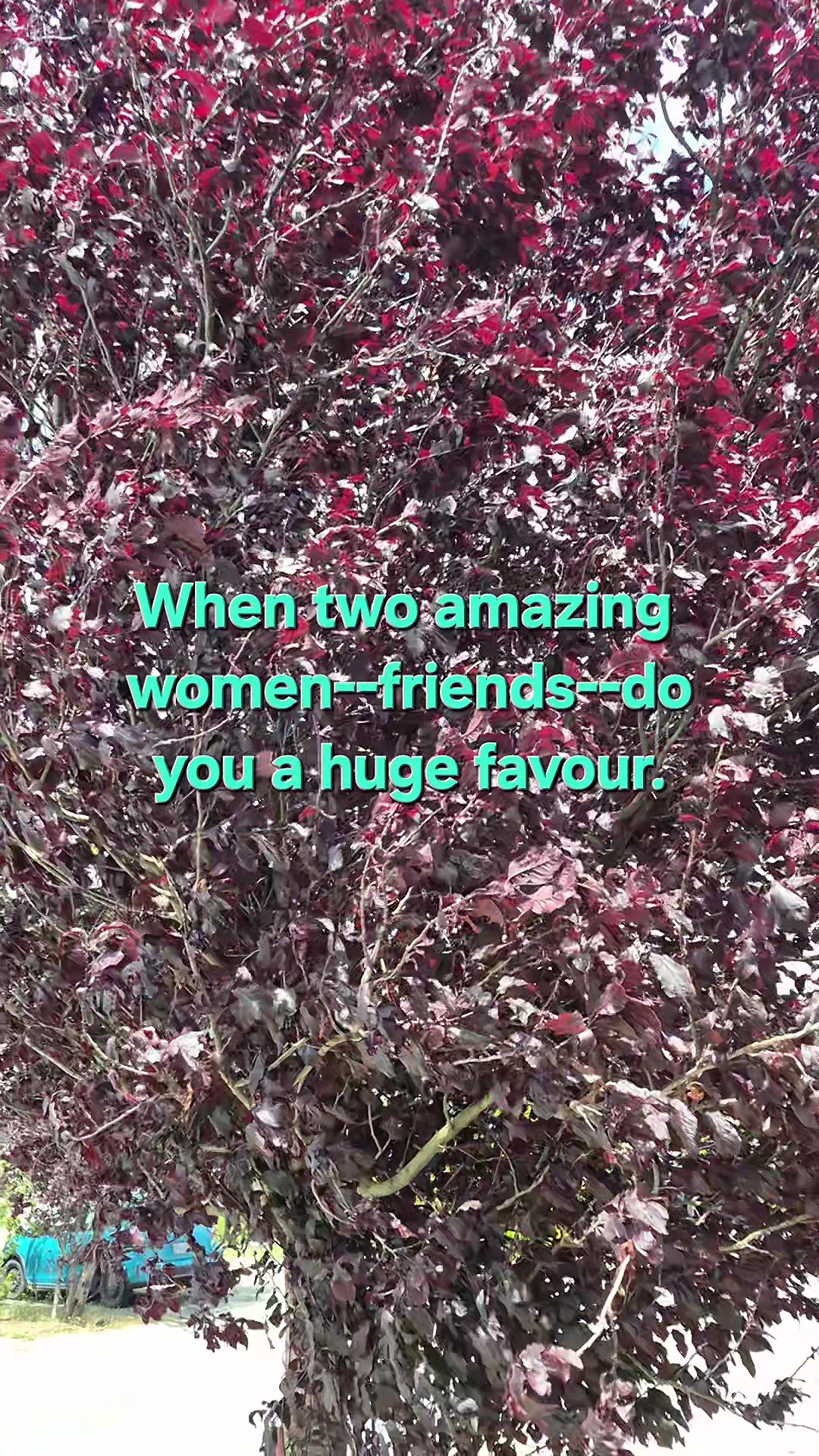 @Author, Brenda Dyer