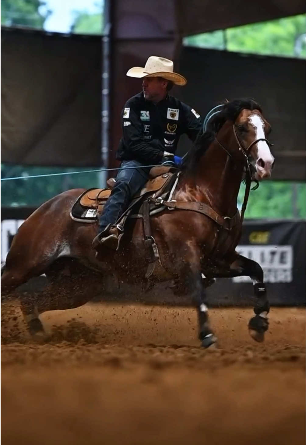 @Solo Select Horses