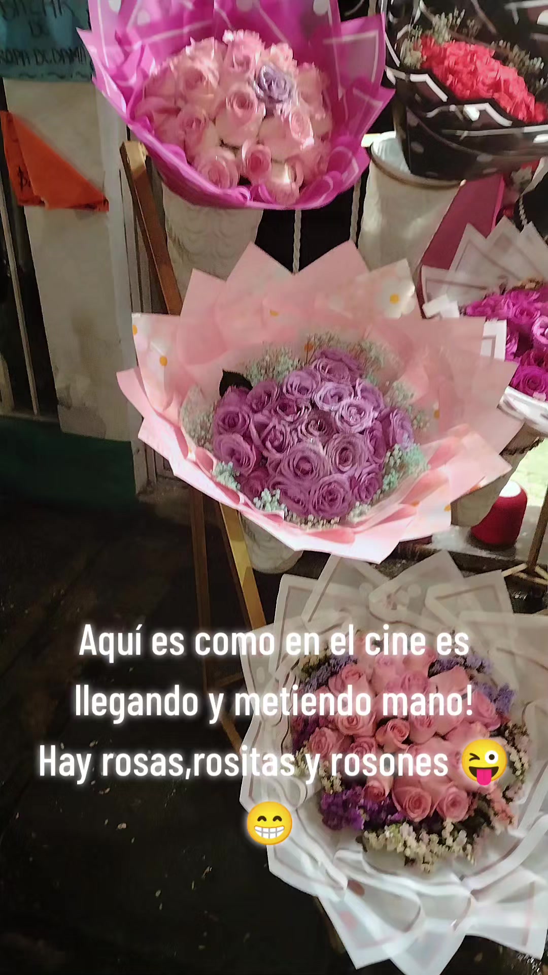 @Aurora Lopez
