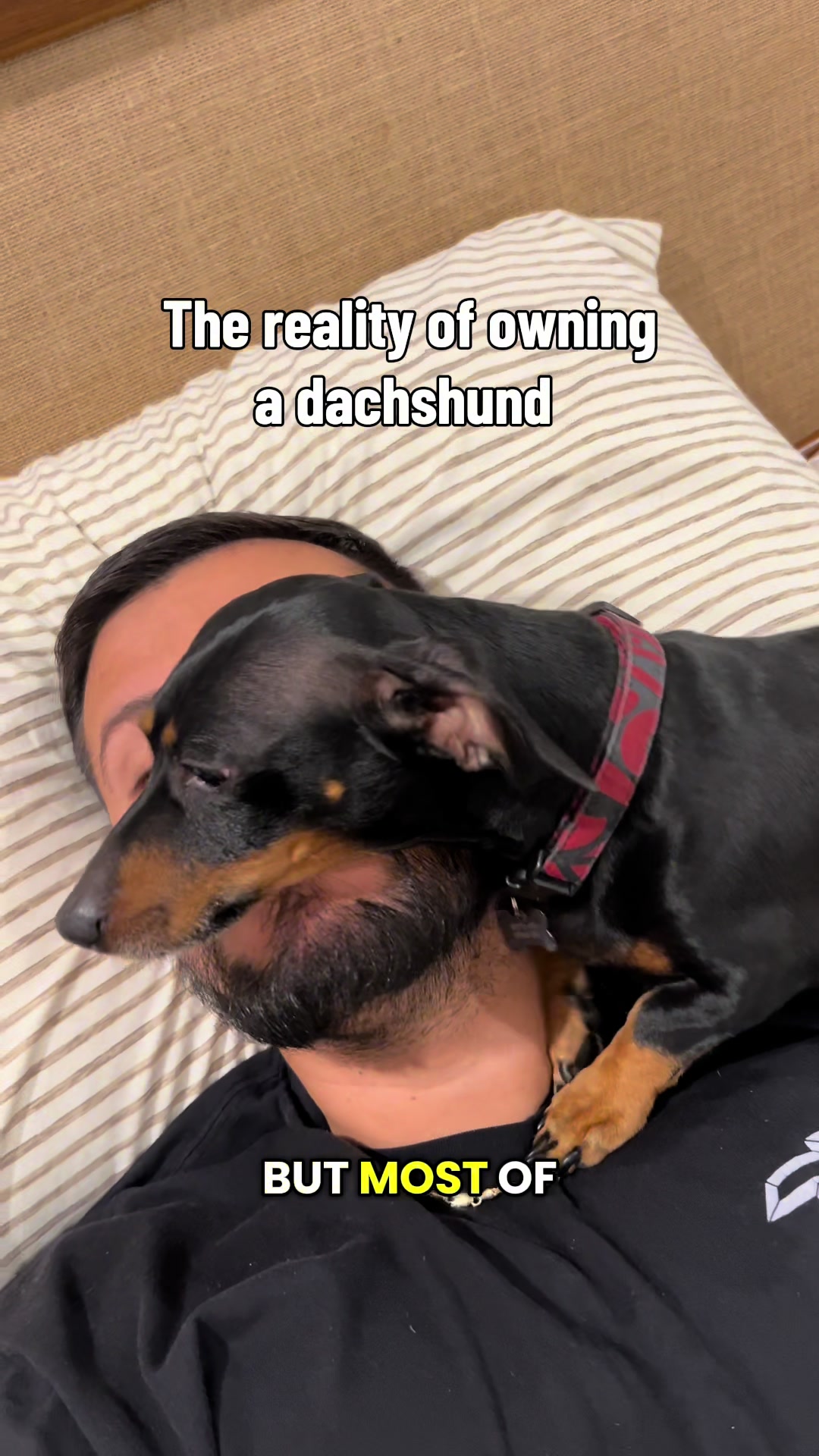 @maxxandricky_