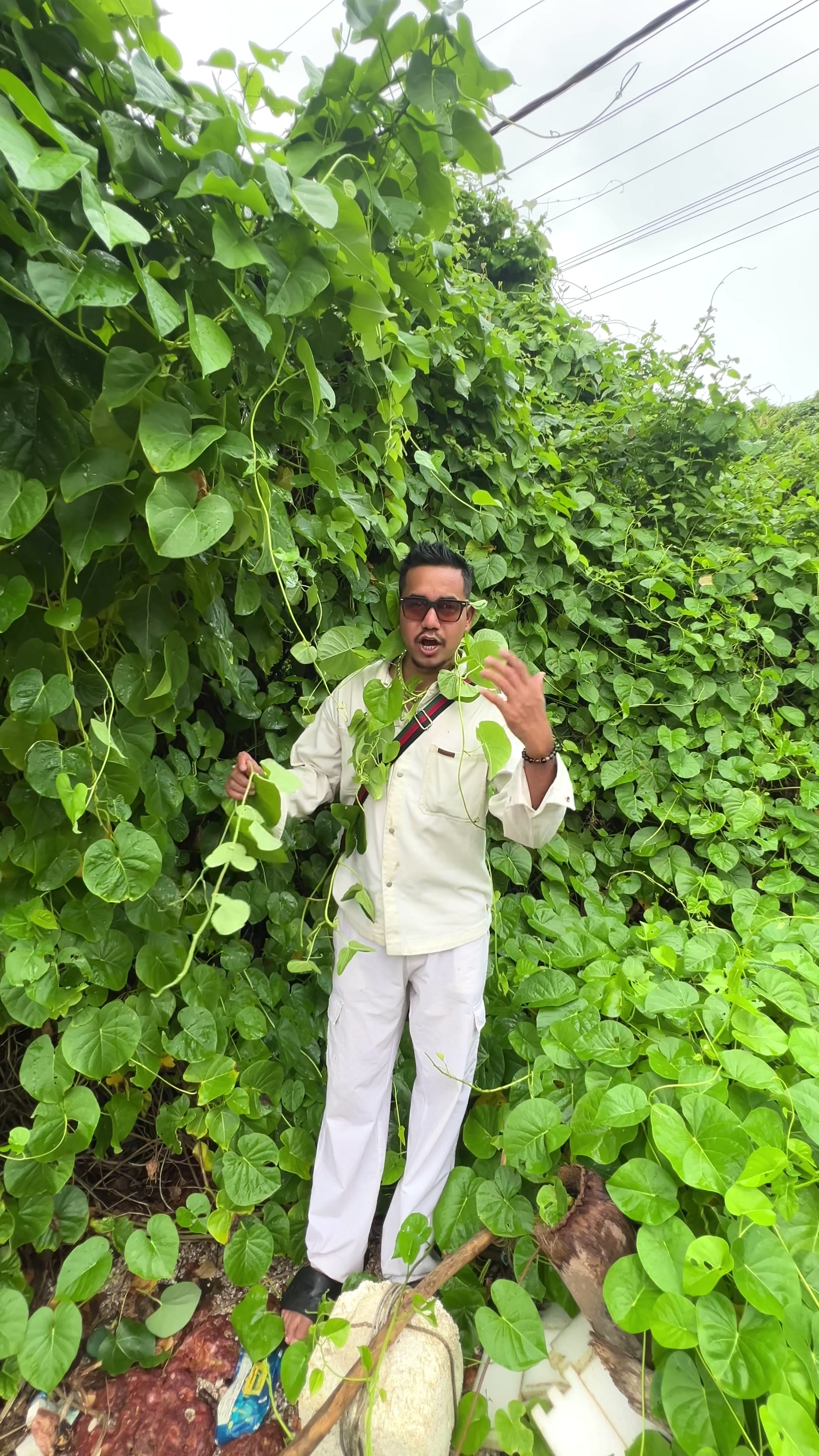 @Prakash Singh Royal