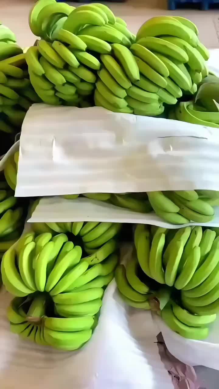 @konga1i