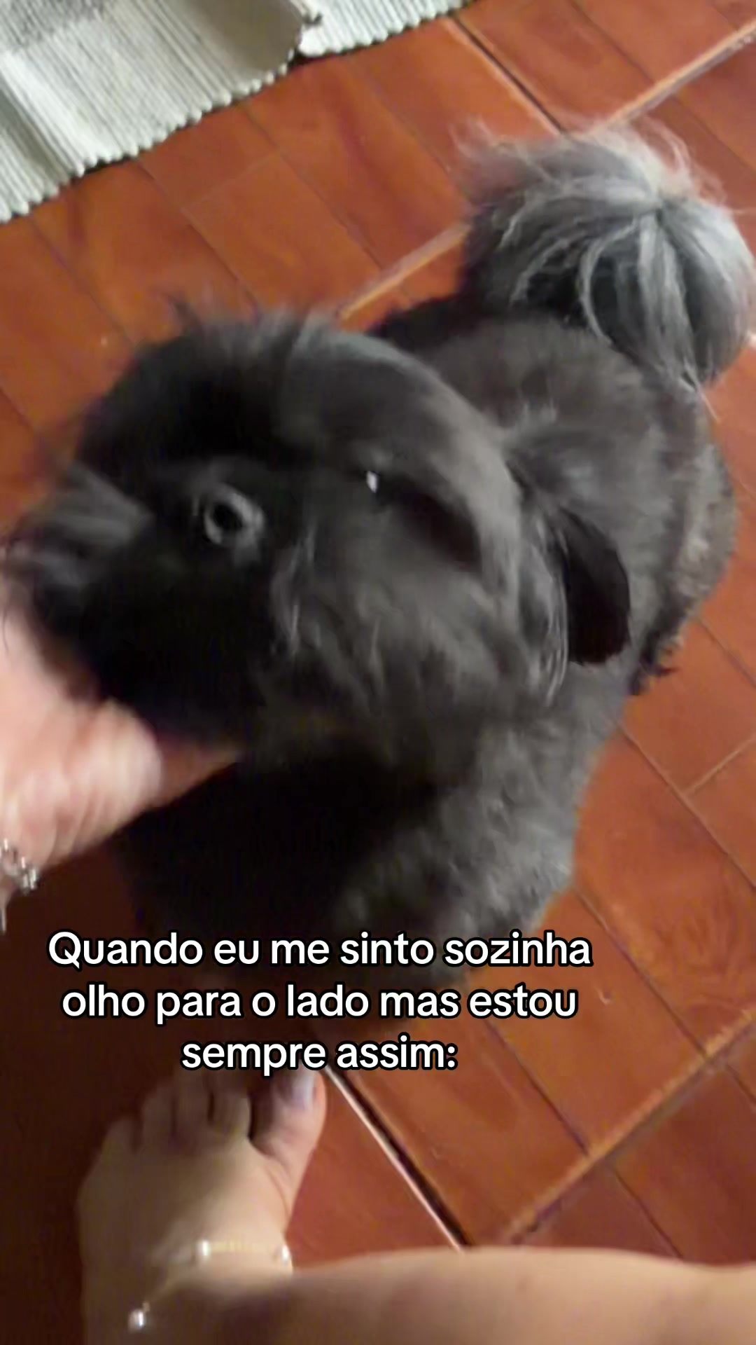 @Thaiany Aspett