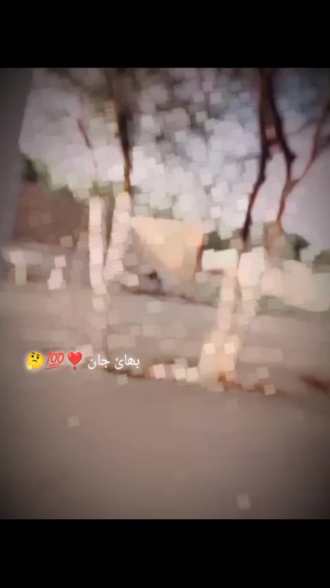 @Malik alyas Khakhi 👑🥰🤔