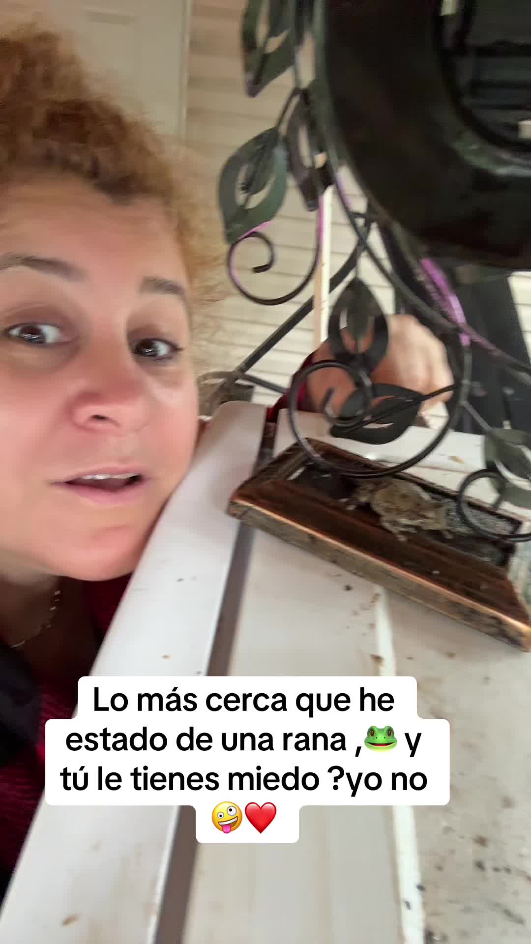 @Soleny
