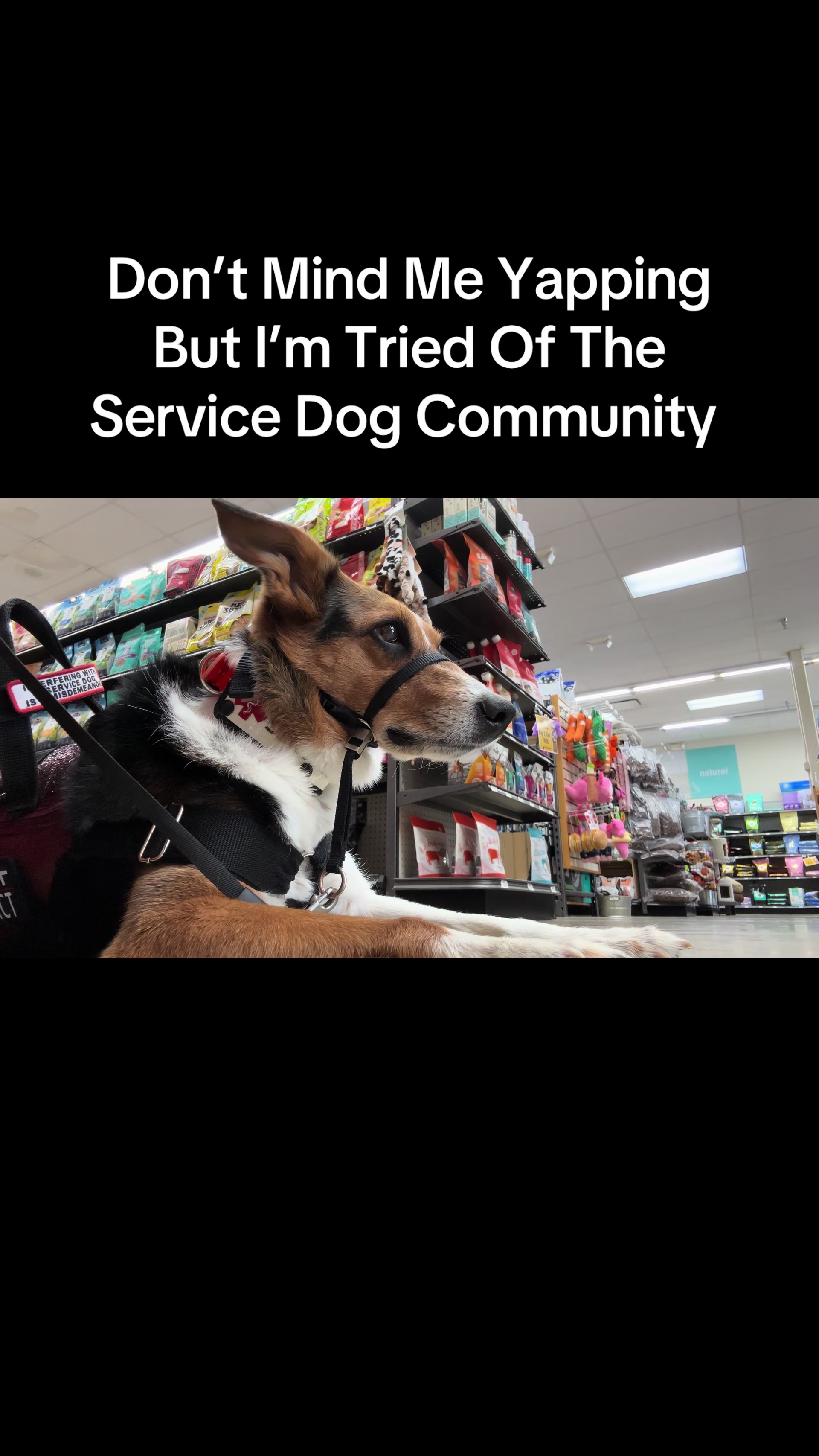 @Koda & Percival