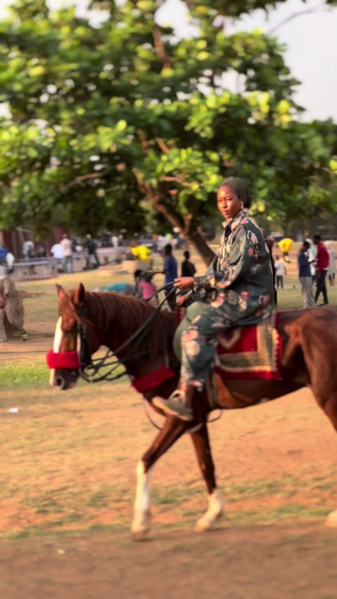 @Abuja horse riders