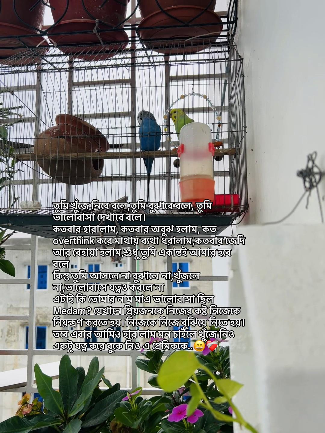 @Shek.RahadđĻĸđ¤