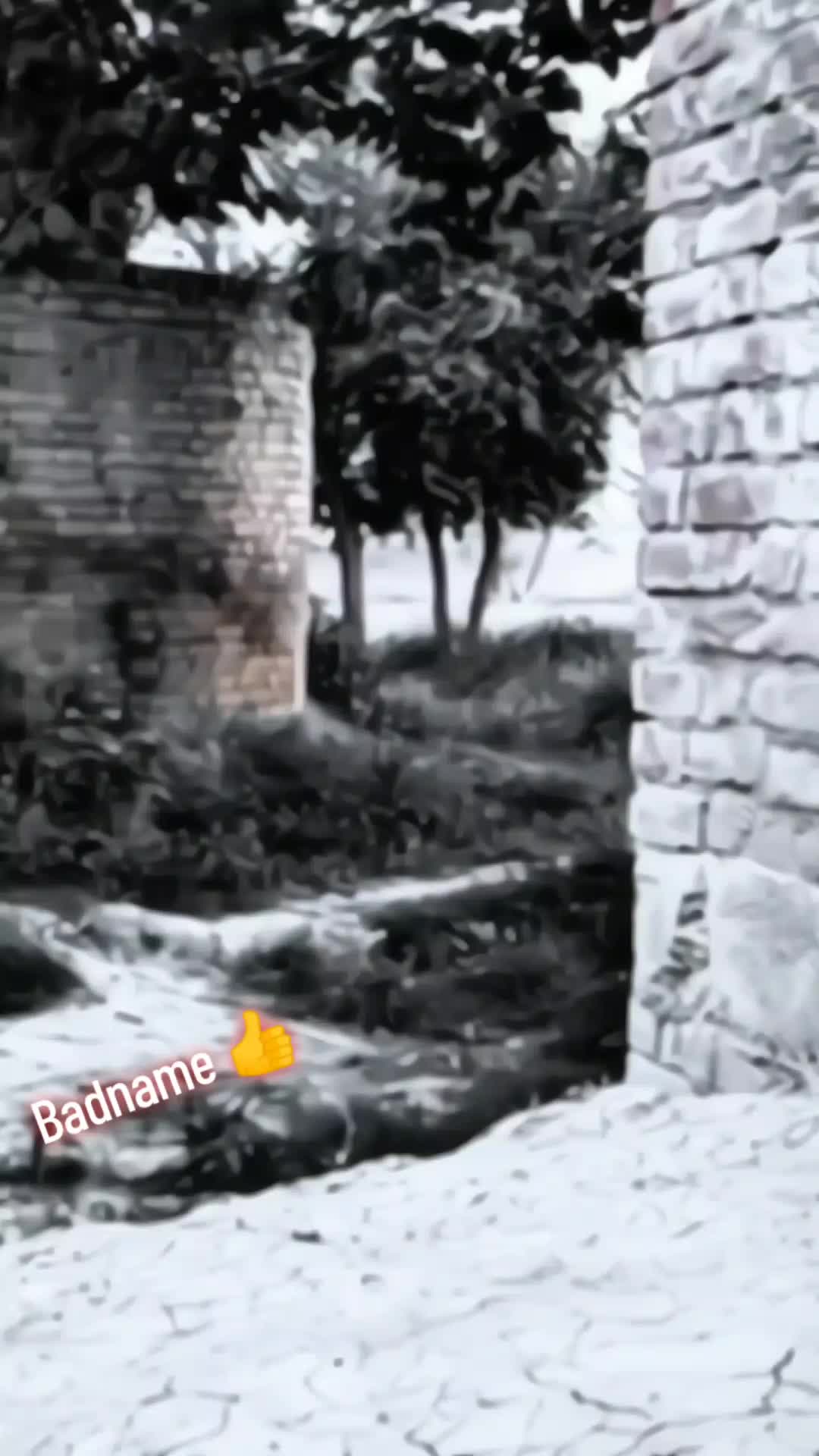 @🧨BadNam🧨