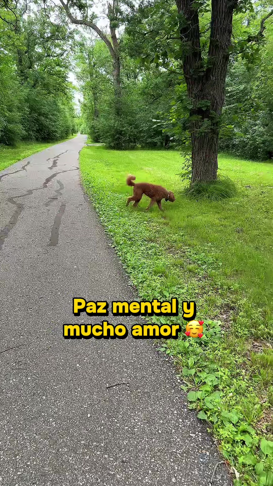 @Reyna y Churro 🐶😍