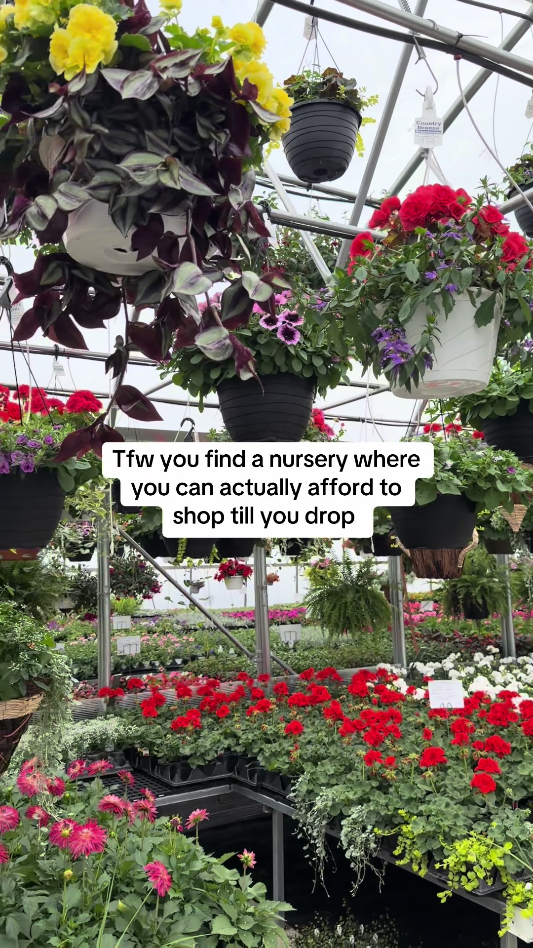 @FarmingInTheBurbs