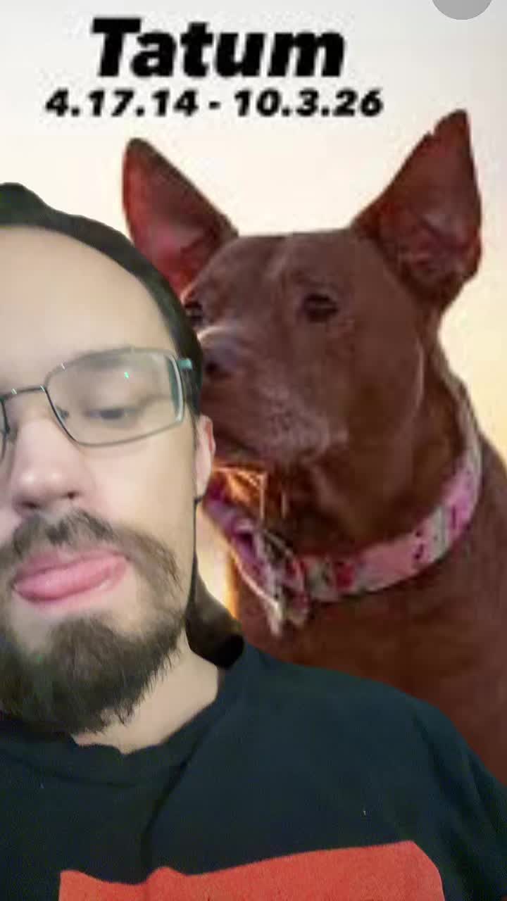 @KingBigB2099616