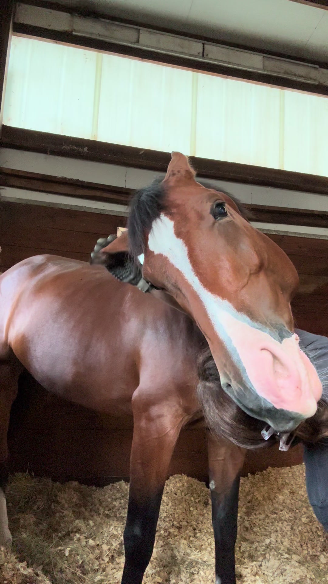 @EM Equestrian