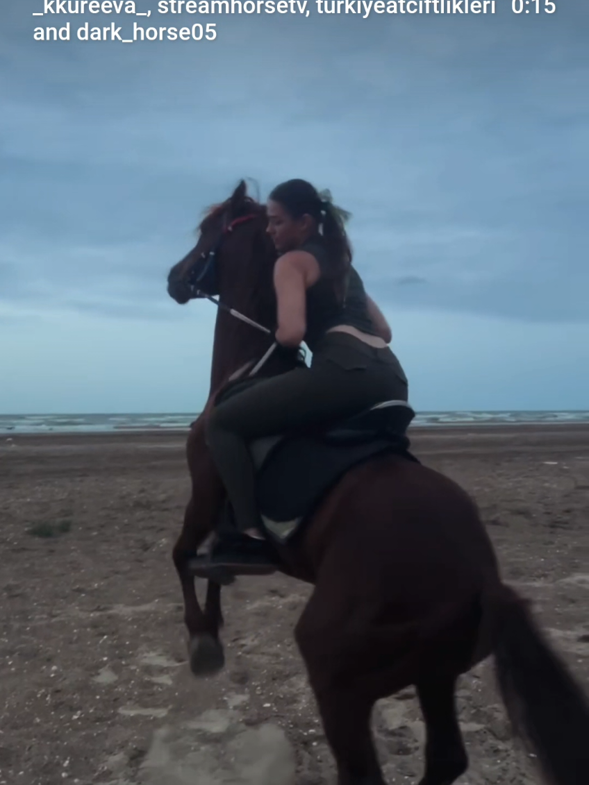@streamhorse