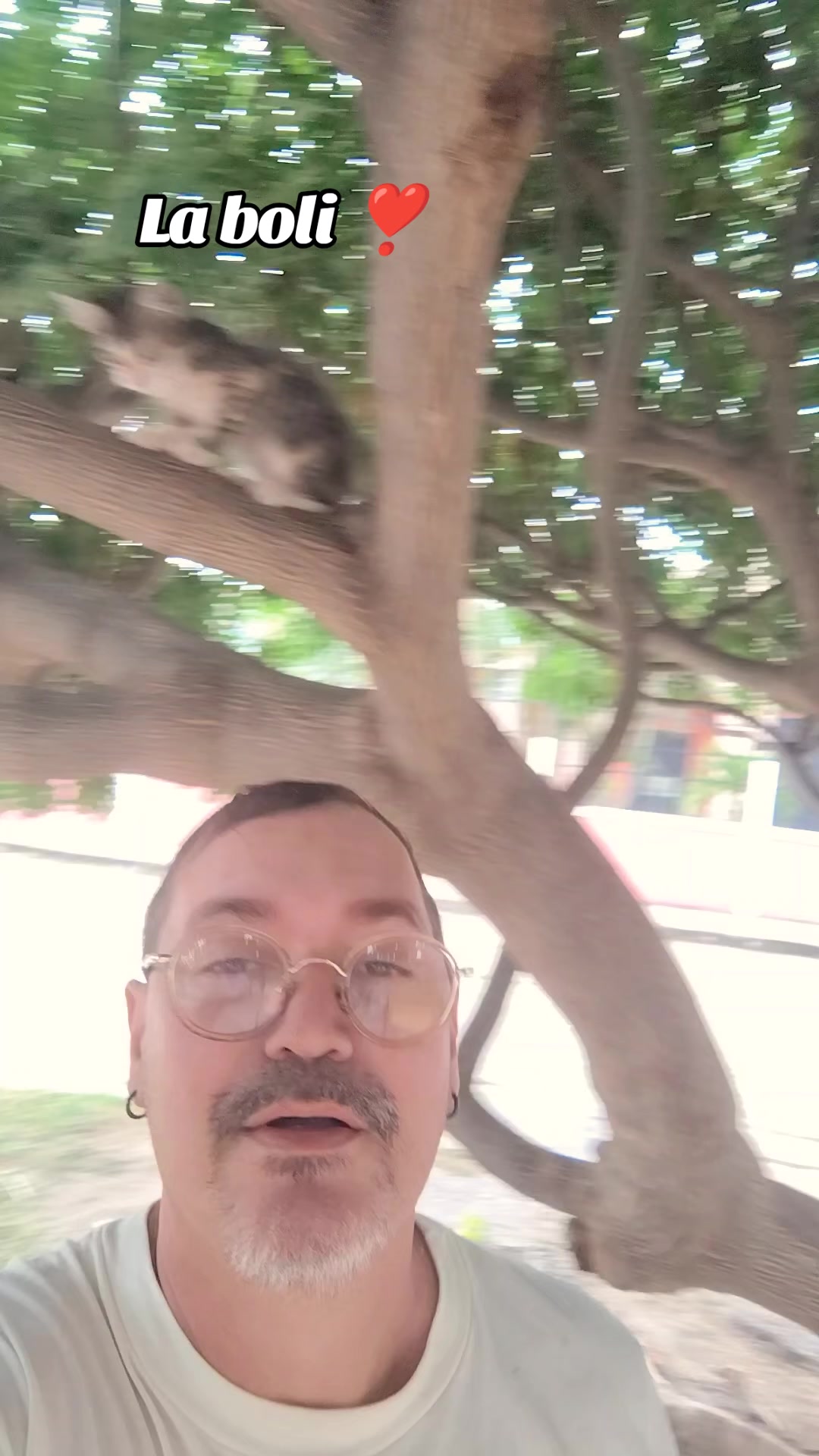 @Patitas y Garritas en la Calle