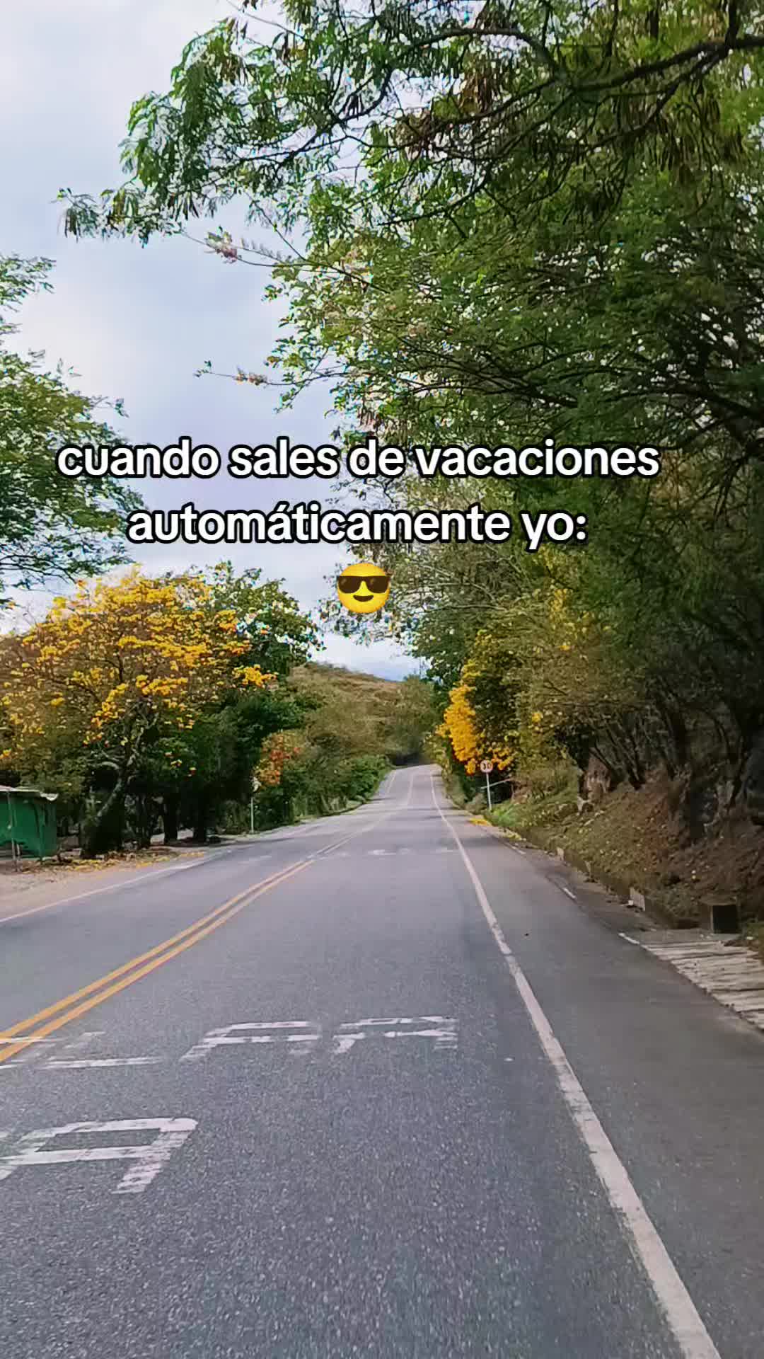 @yuleidy_🎧