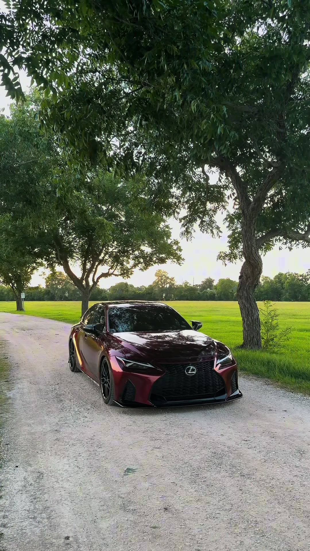 @hammy_350