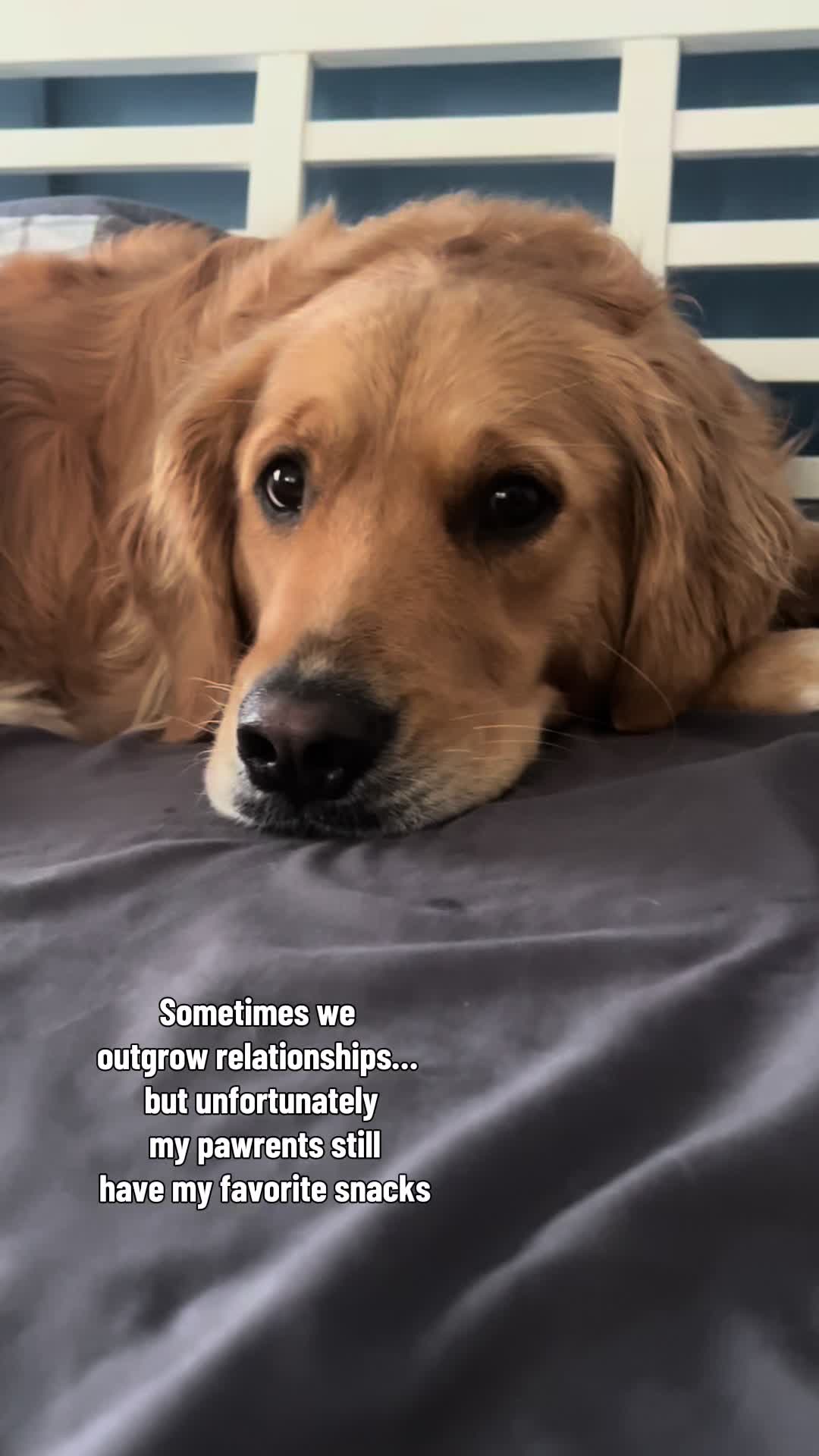 @Winnie the Golden Girly