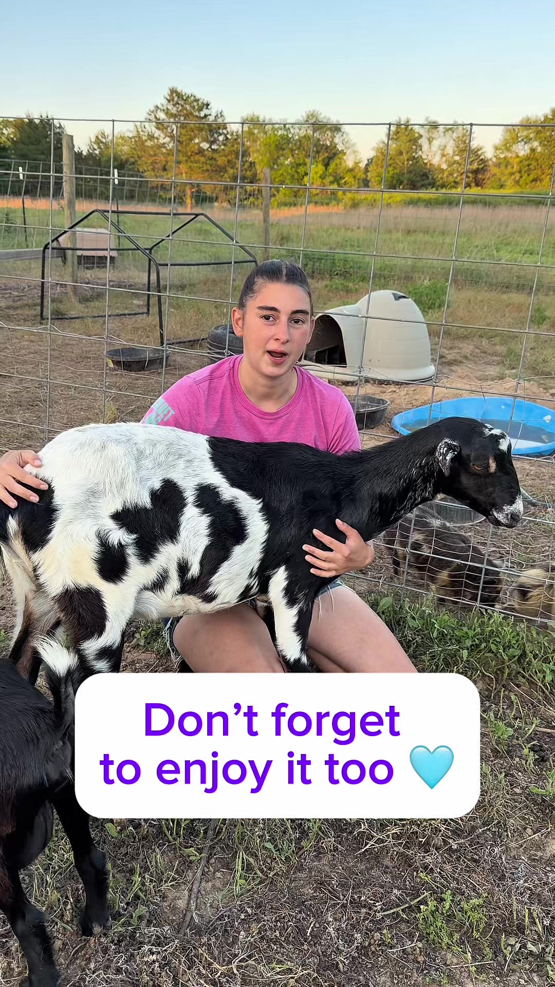 @Heart & Hoof Homestead