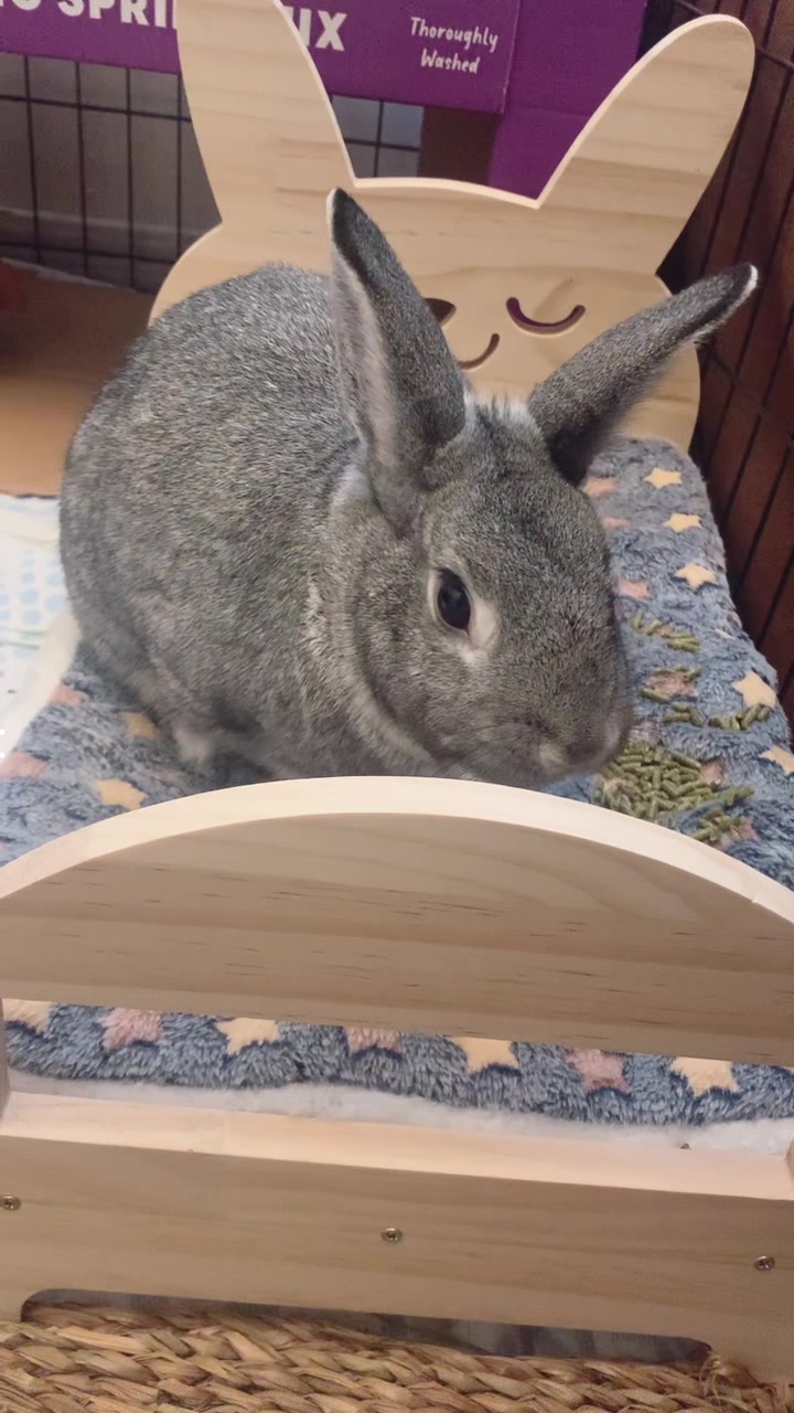 @interestinglilcreature
