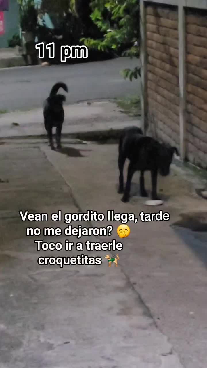 @𝕃𝕚𝕤𝕤 ℝ𝕖yes🇸🇻