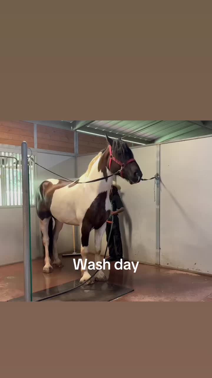 @Ap da k