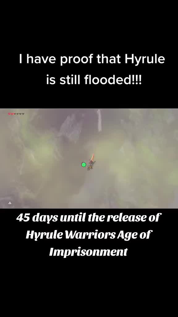 @Link of Hyrule