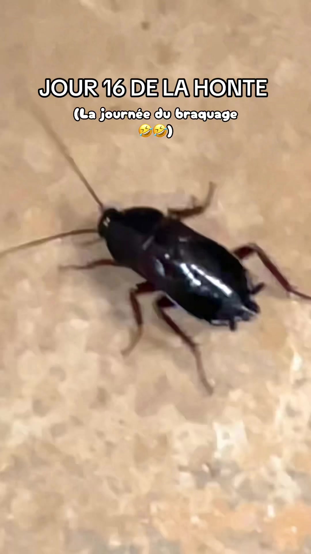 @fv230sy