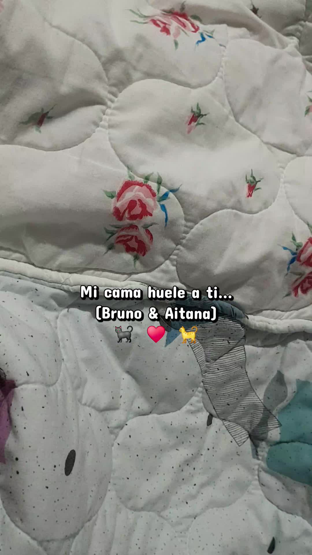 @&bull;Estefania&bull;
