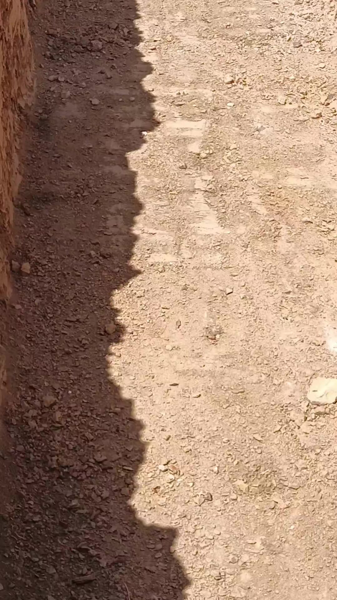 @🐈بّــــيــــلَآ تُـشـــــآو👋