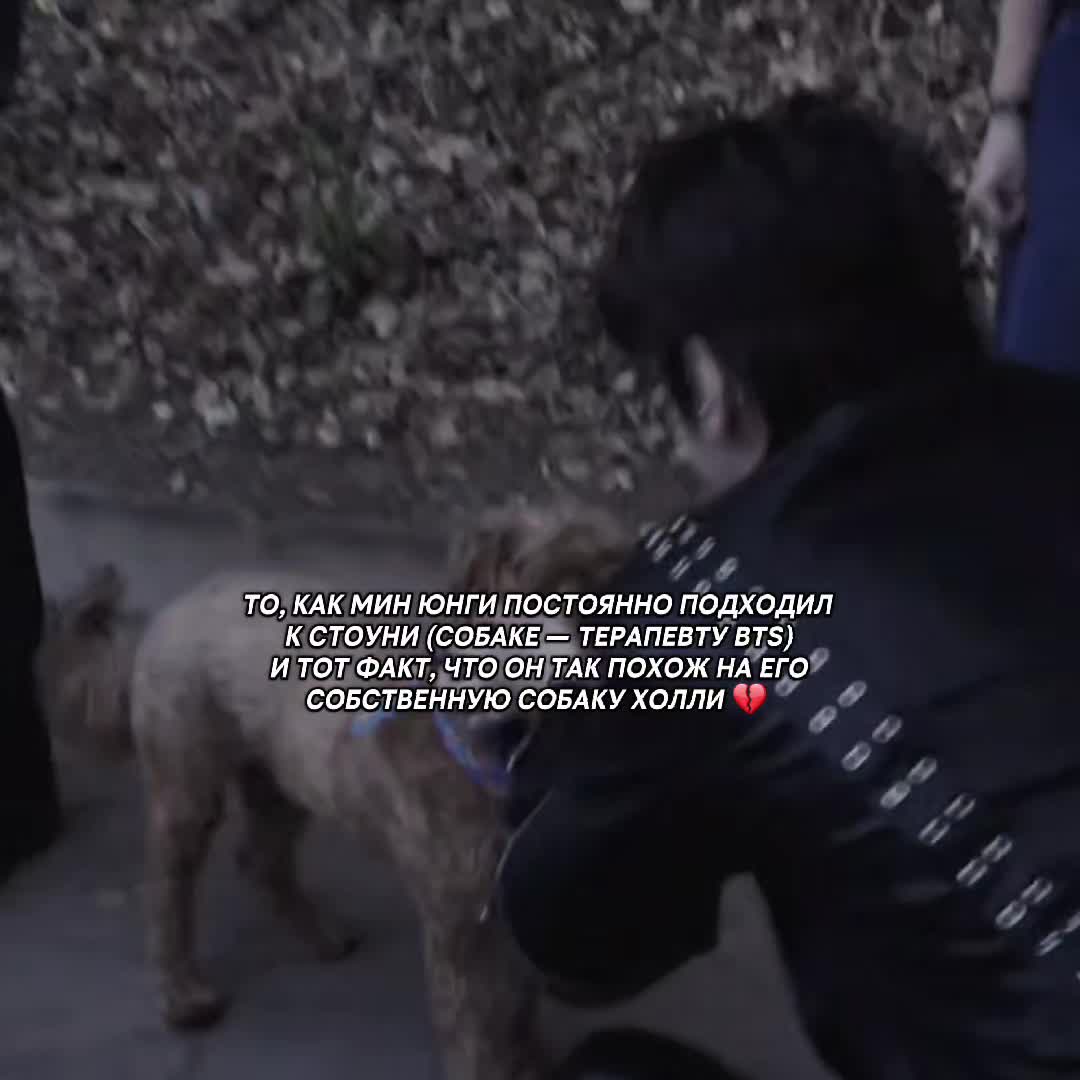 @𝒃𝒐𝒓𝒂𝒇𝒂𝒊𝒓𝒚⁷