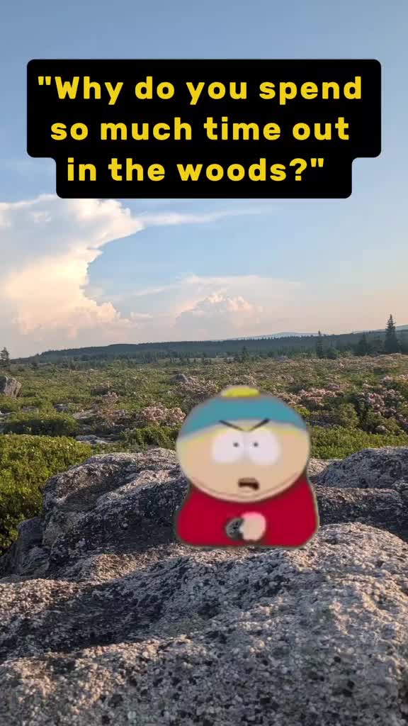 @Forrest of the Memes
