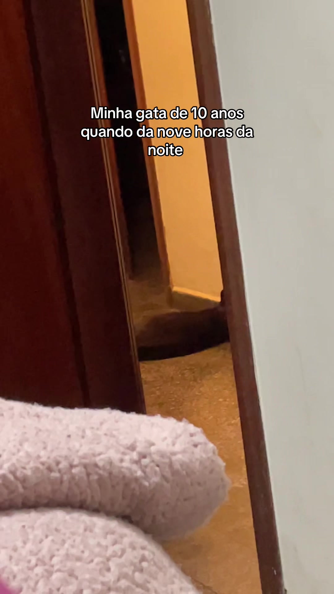 @Isa 🌙