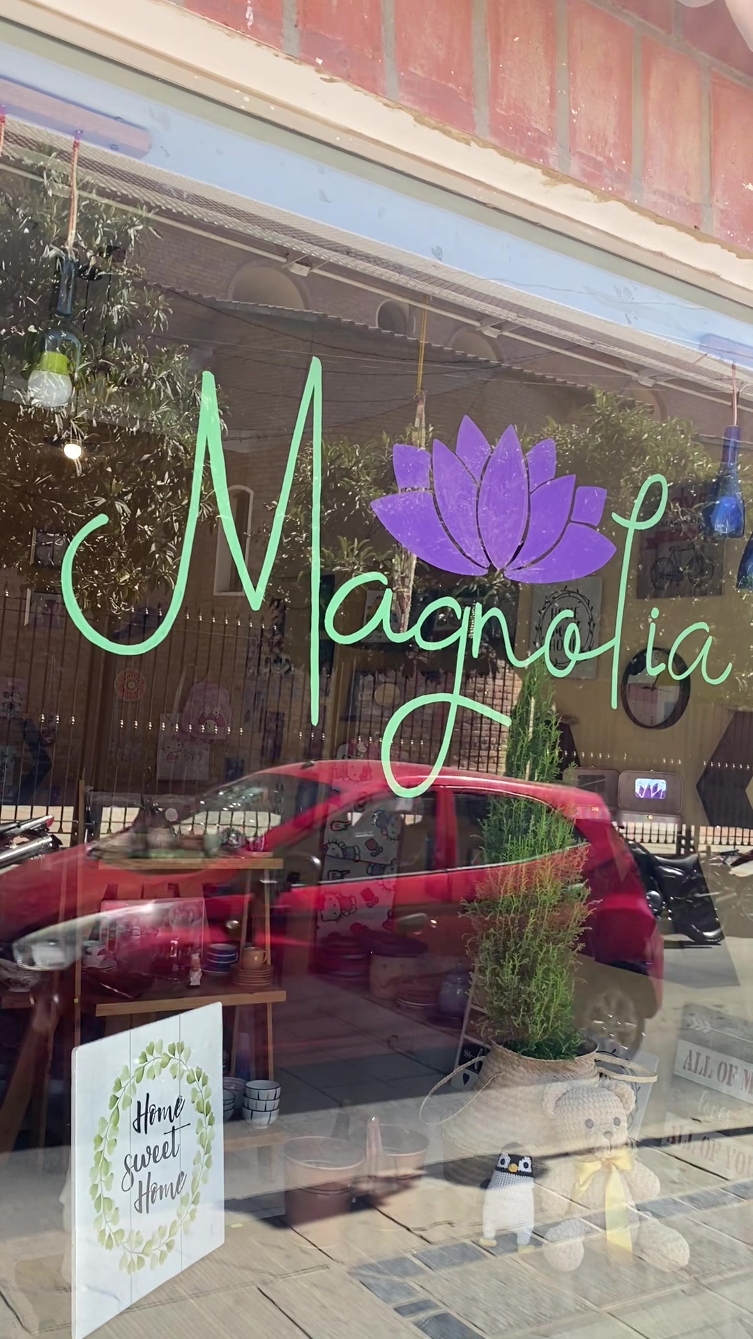@Magnoliatarija