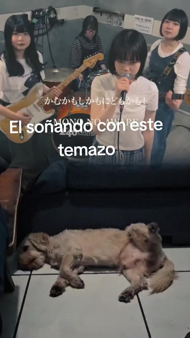 @SE&Ntilde;OR RIVAS.