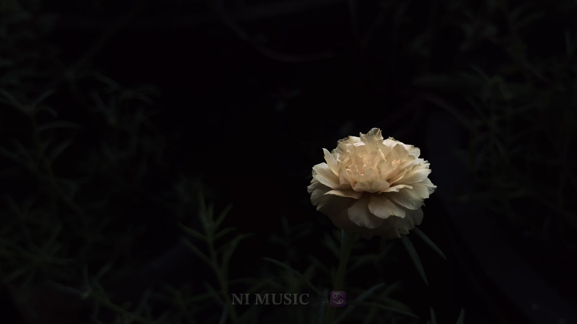 @๐๐ ๐๐๐๐๐ ๐ตโ