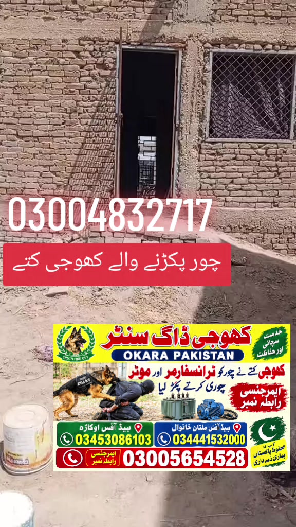 @khoji dog contact number