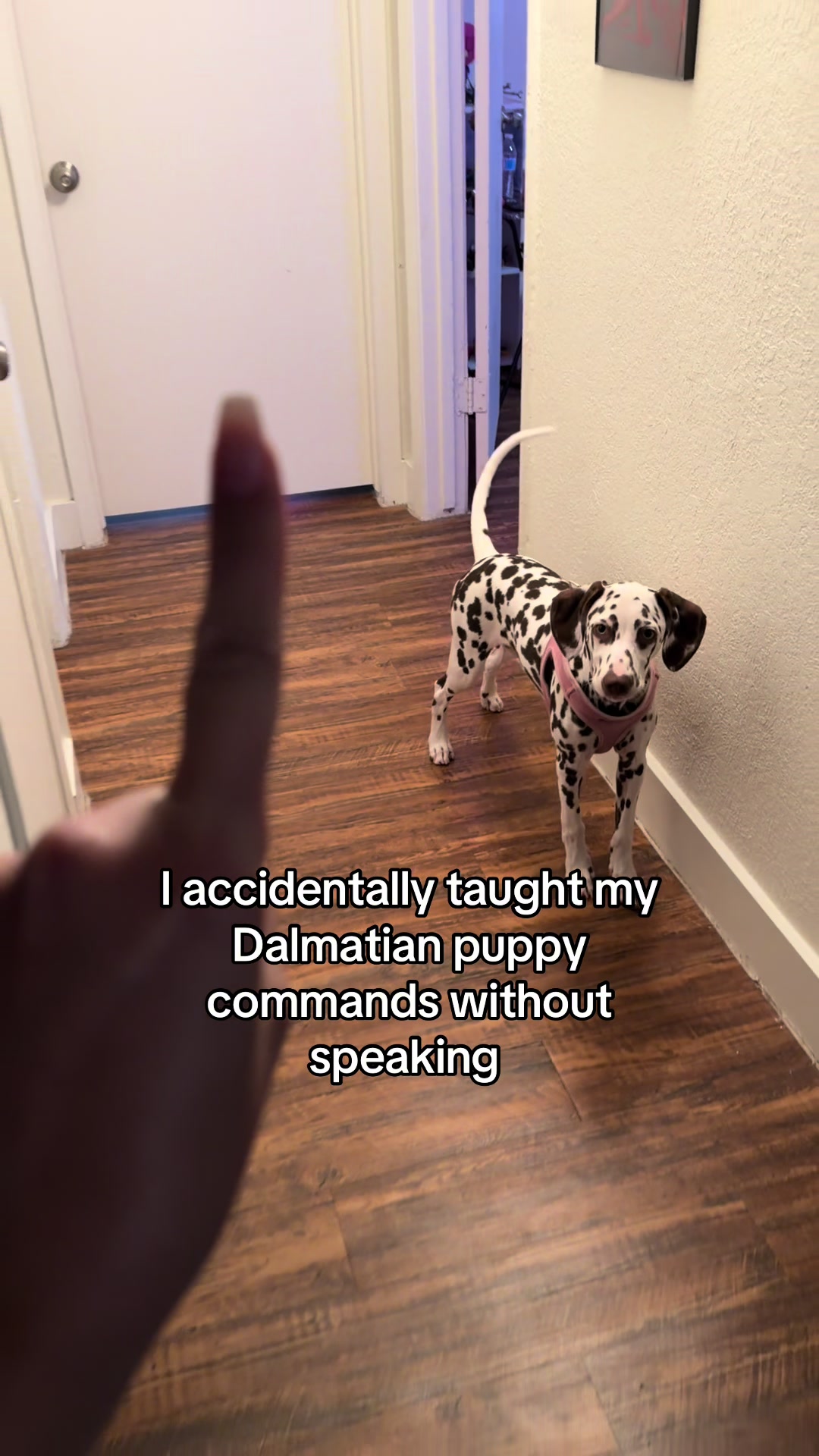 @Corinne Olivia