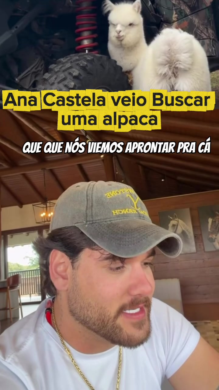 @Rcn061.cortesz