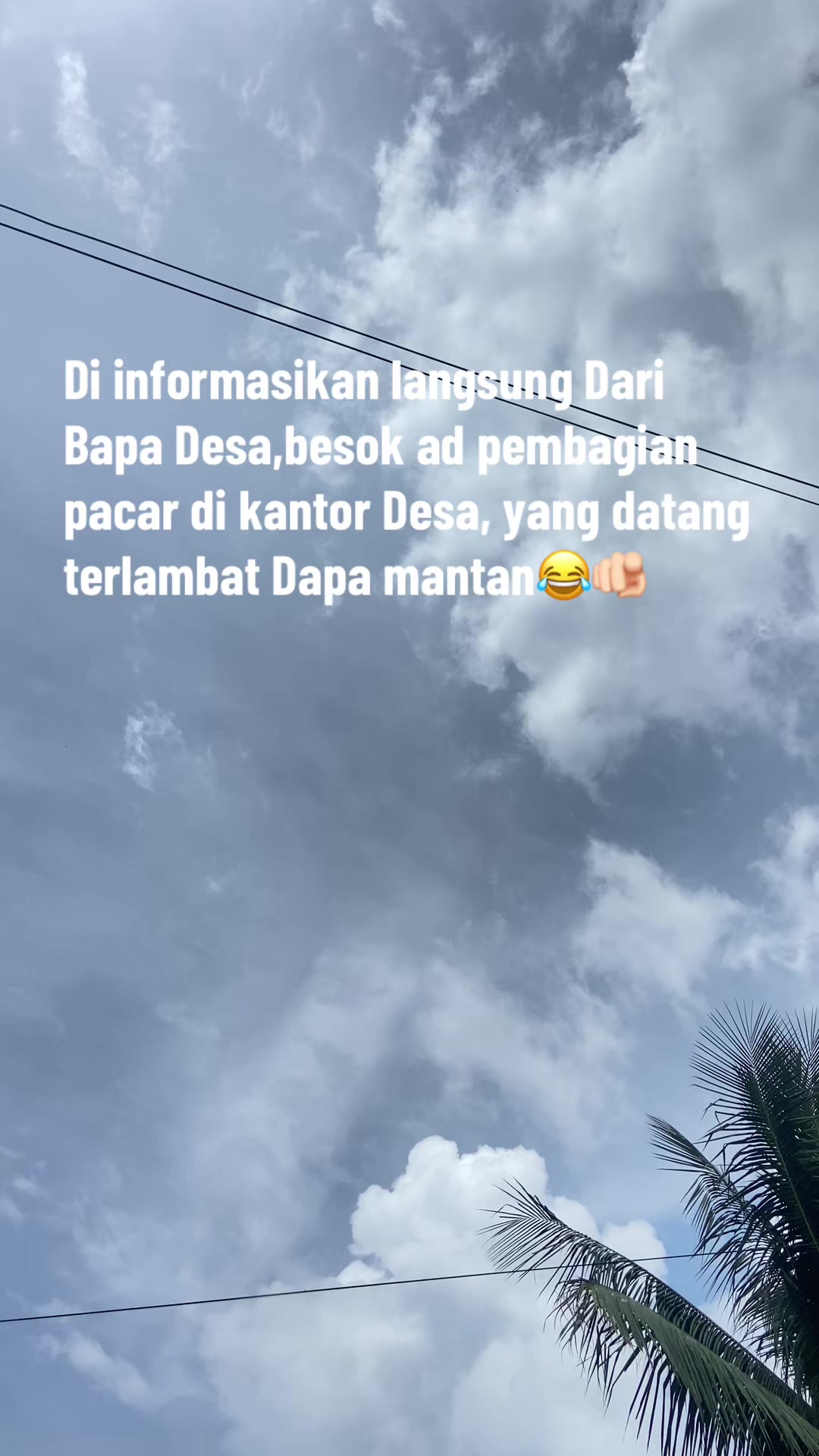 @primuz🤪🤪