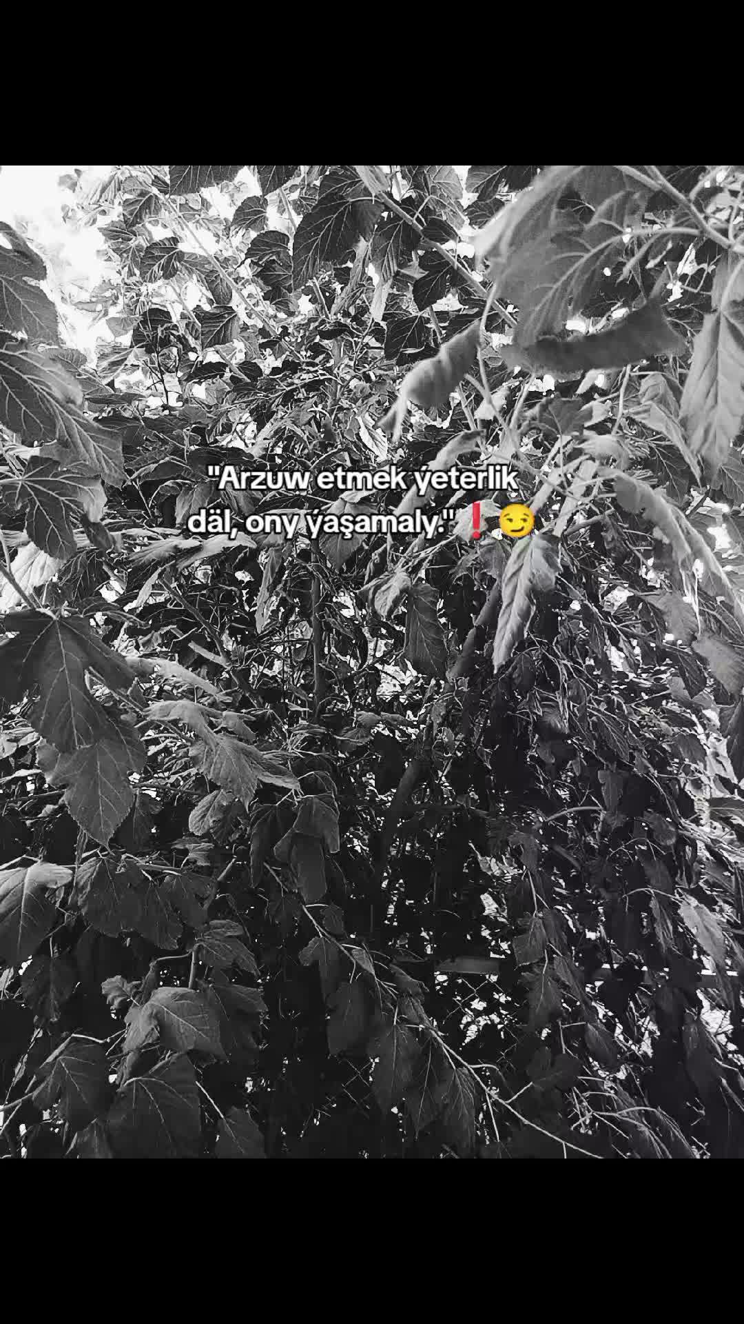 @Yazzyş_⁷⁷⁷