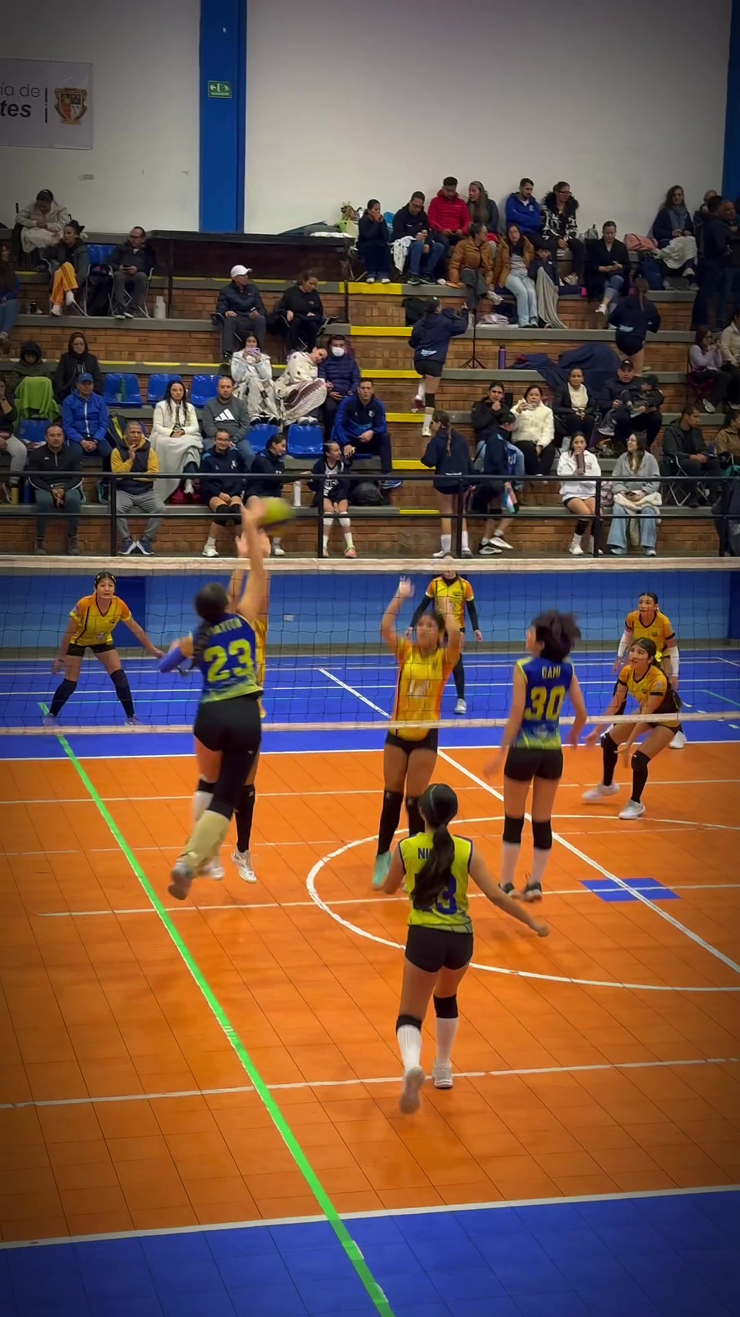 @Isabella Amaya Volley 23