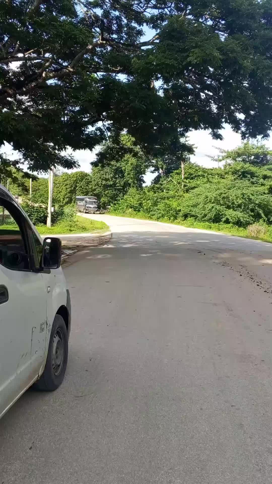 @️Bus Enthusiast Witu massive