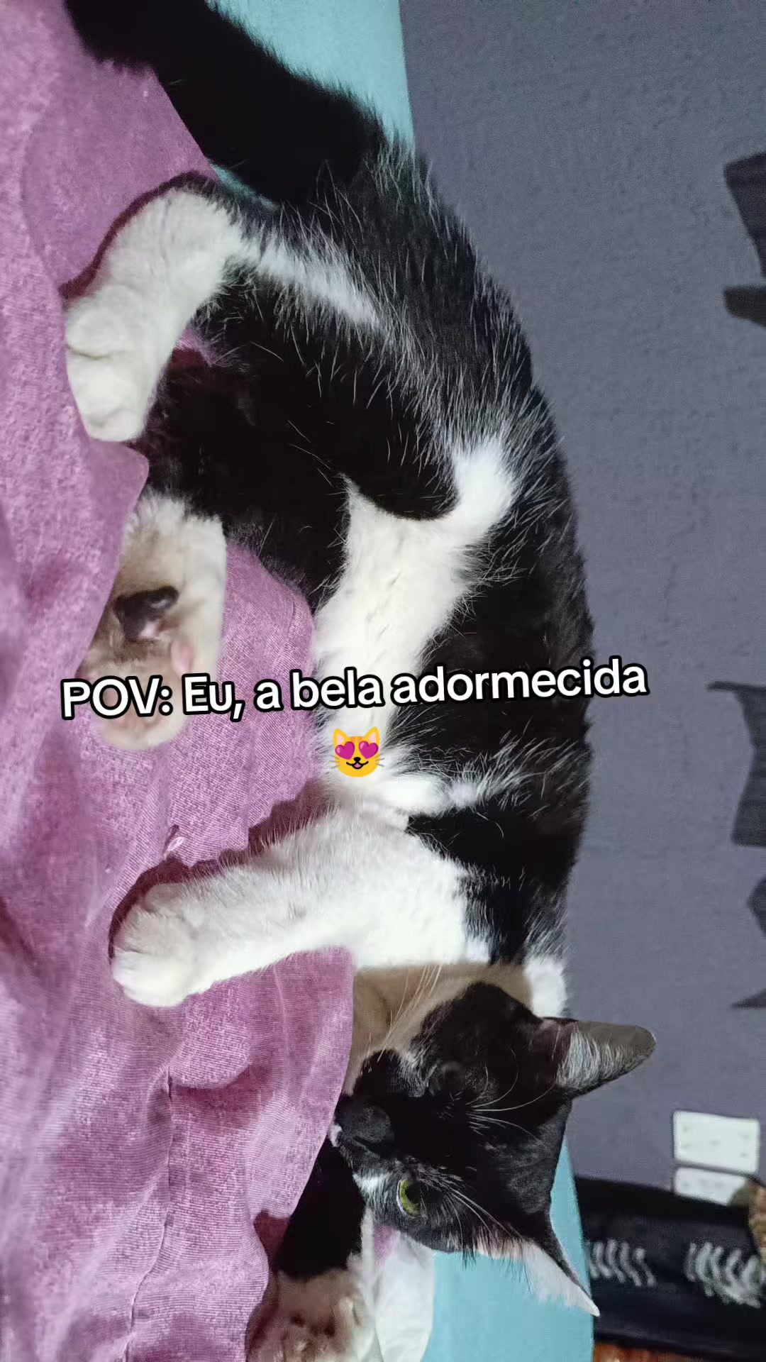 @Paula Alves
