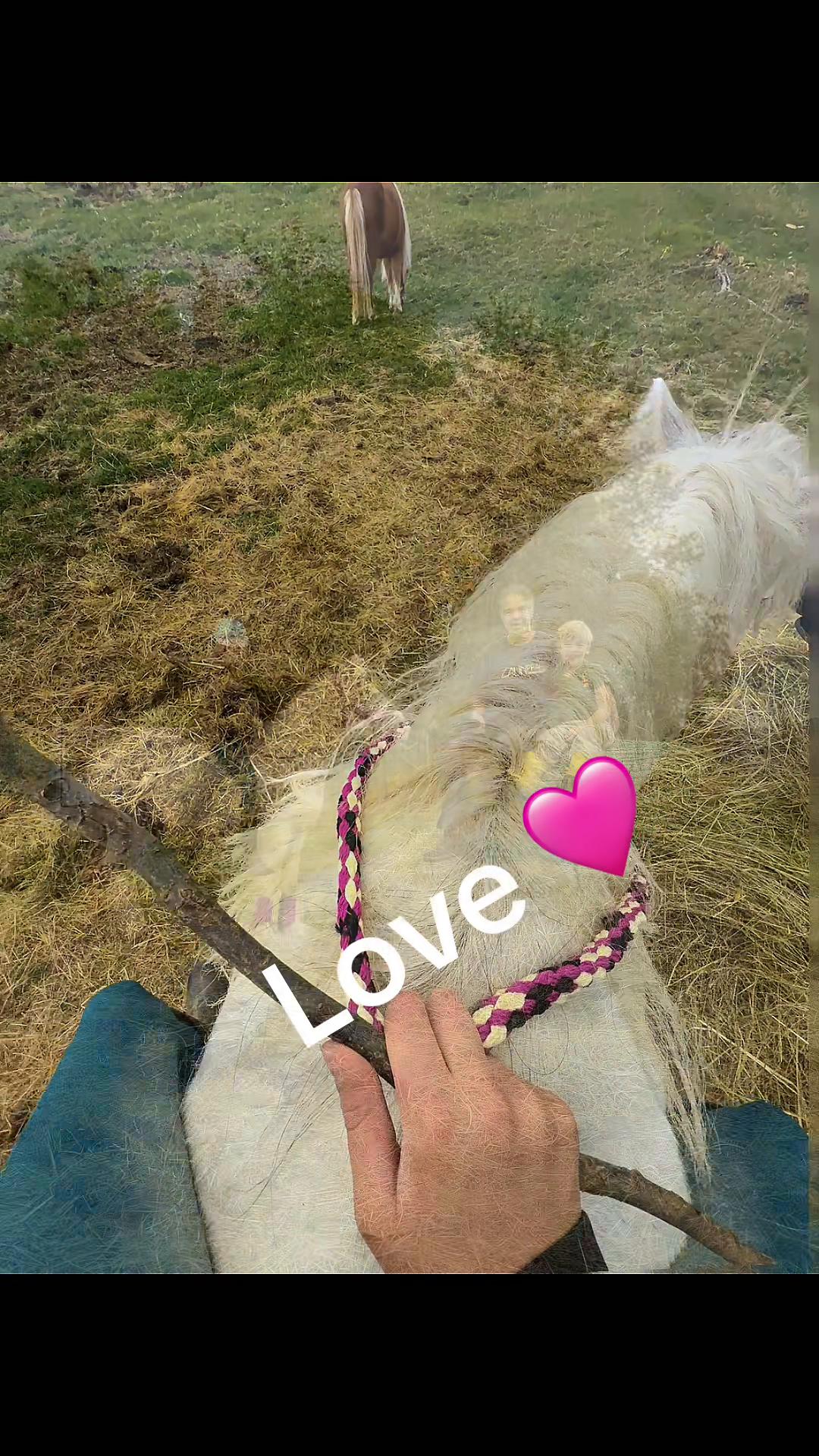 @HafiHorse2