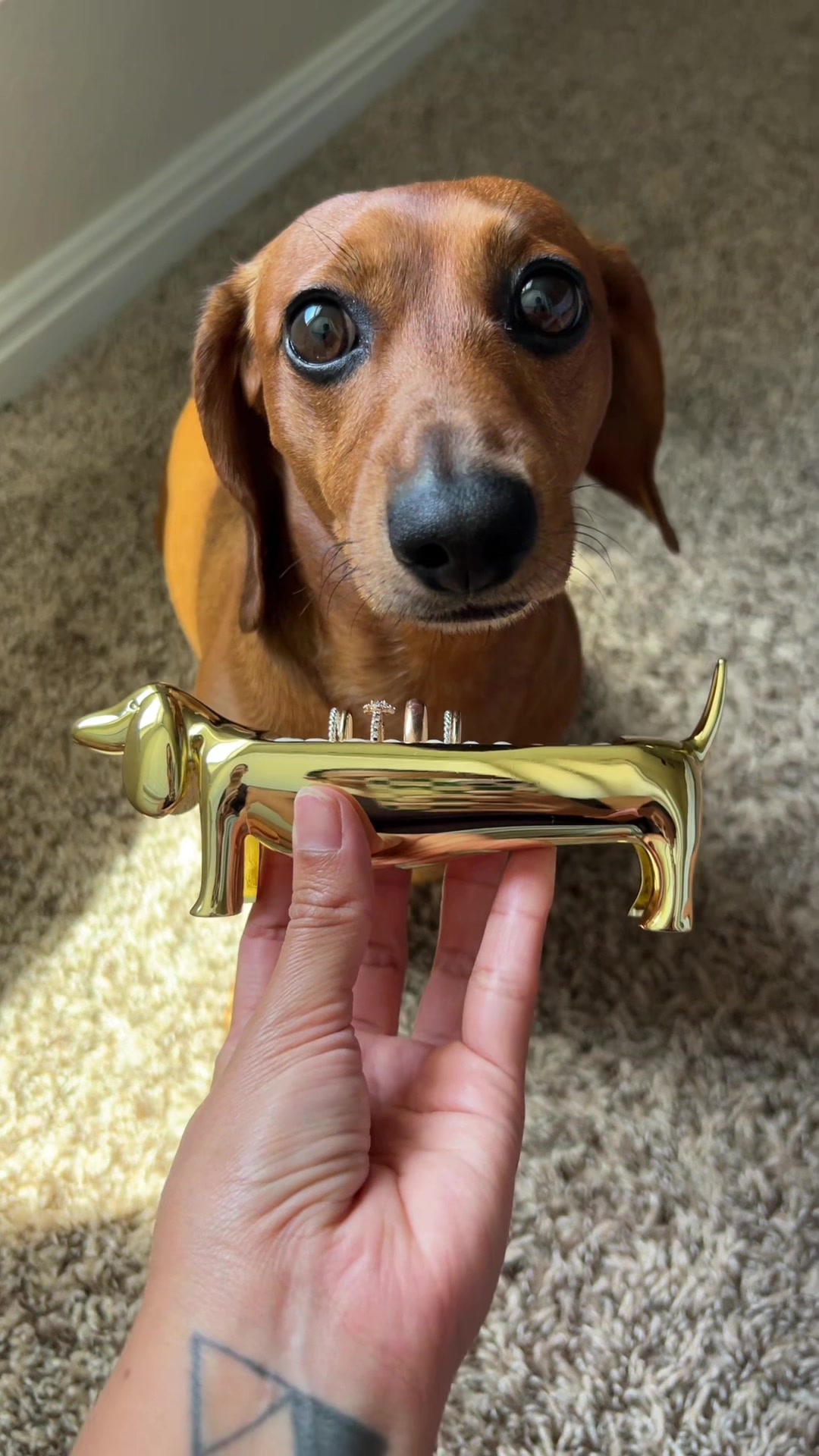 @Slinky Severus-Doo