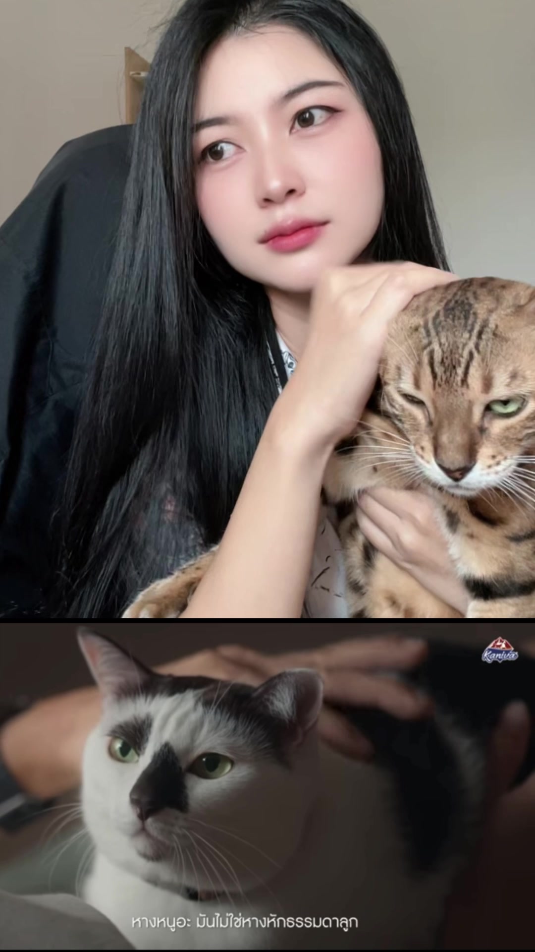@I Mไอ้เอ็มวัดลาด