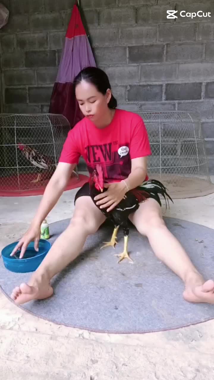 @น้องkik...ผู้หญิงชอบไก่ชน🐓