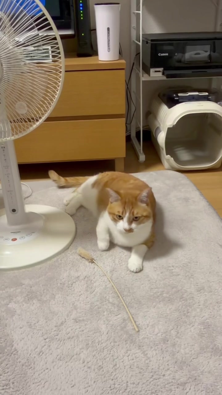 @玉次郎
