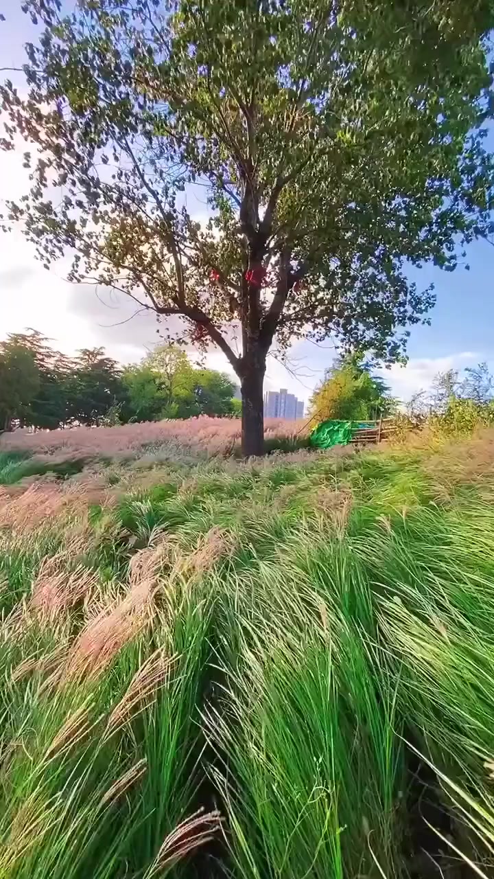@shivam_chauhan
